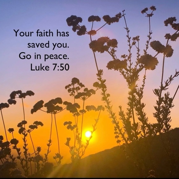 Free People Like A Lady Linen Mini Dress in Orange  Medium Fruit Ruffles Picnic - Picture 16 of 17